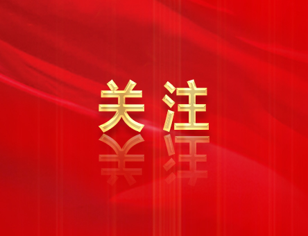 哪些行為屬于不執(zhí)行黨中央決策部署？相關的處分規(guī)定有哪些？